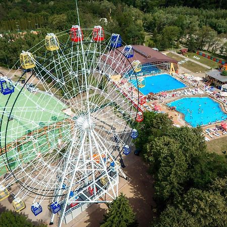 Luxury Bucovina Apartment Gura Humorului Bagian luar foto